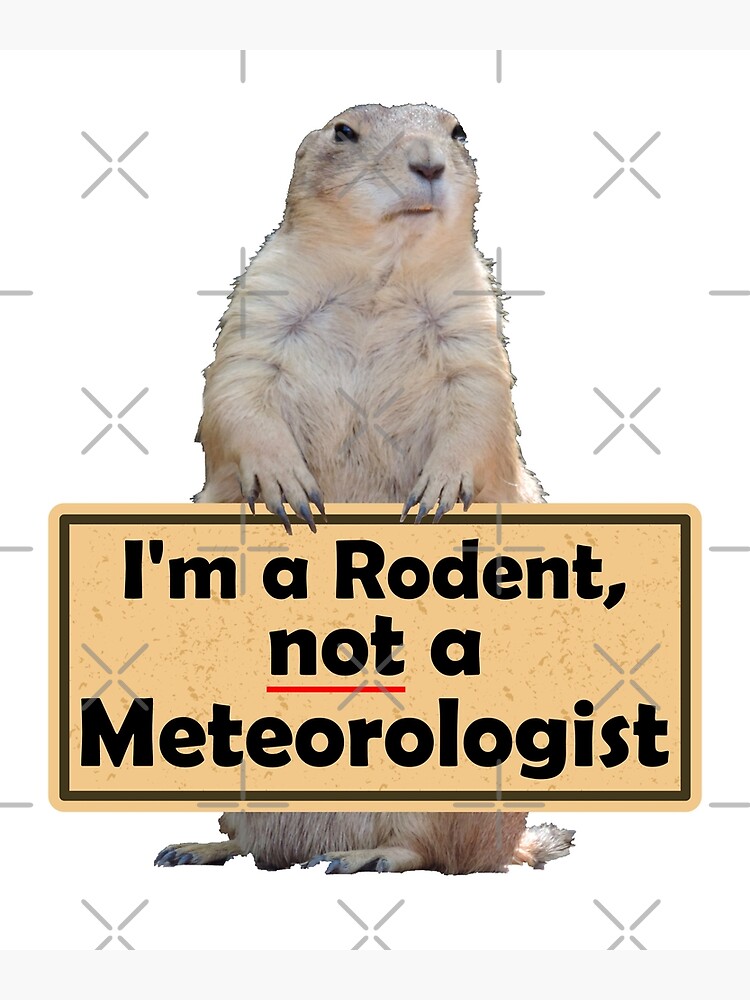 Carte De Vœux Jour Drole De Marmotte T Shirt Je Ne Suis Pas Un Cadeau De Meteorologue Pas Le Temps Homme Ou Femme Par Funnyg480 Redbubble