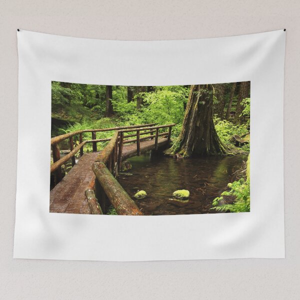 Artikelvorschau, Original Fine Art Print: Trail Bridge entworfen und verkauft von jklune.