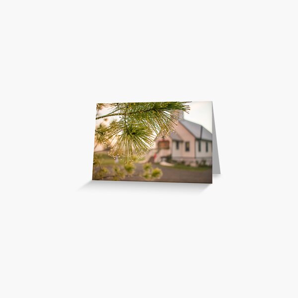 Through the web Greeting Card
