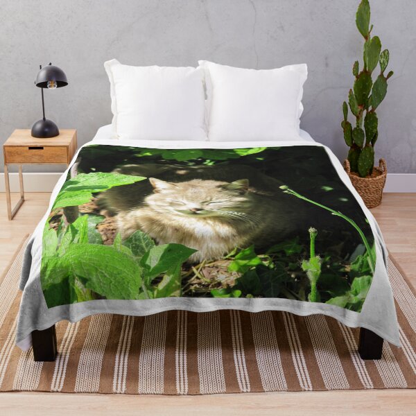 Item preview, The cat's nap designed and sold by ART22.