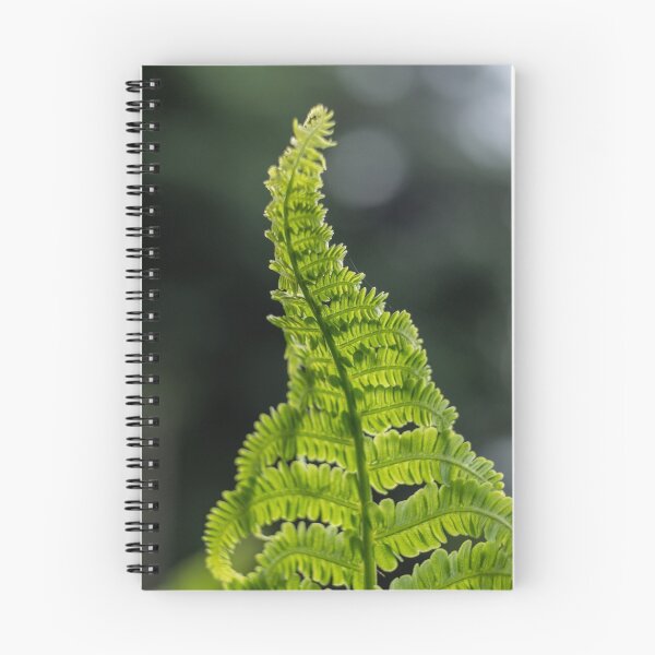 Item preview, Fern designed and sold by RosNapier.