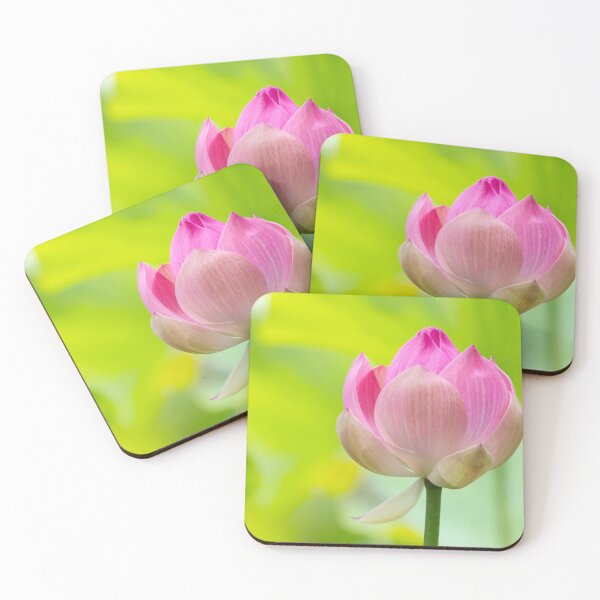 Item preview, Flowering Lotus designed and sold by chuckirina.