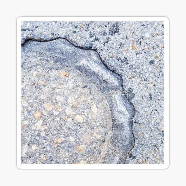 Gray on Gray Sidewalk Snapshot Sticker