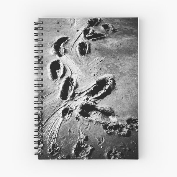Item preview, footprints in the mud designed and sold by novopics.