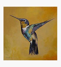 Hummingbird Photographic Print