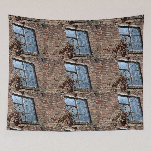 Item preview, Window in an Abandoned Cottage. designed and sold by Billlee.