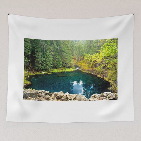 Item preview, Blue pool along the Mc Kenzie river trail designed and sold by jklune.