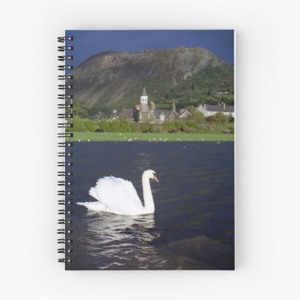 Item preview, The Swan and the Storm designed and sold by Michael Haslam.
