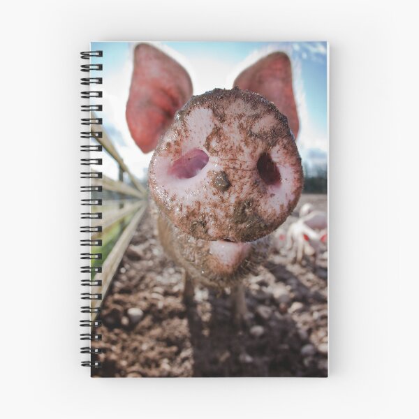 Item preview, Snout designed and sold by Jon Bradbury.