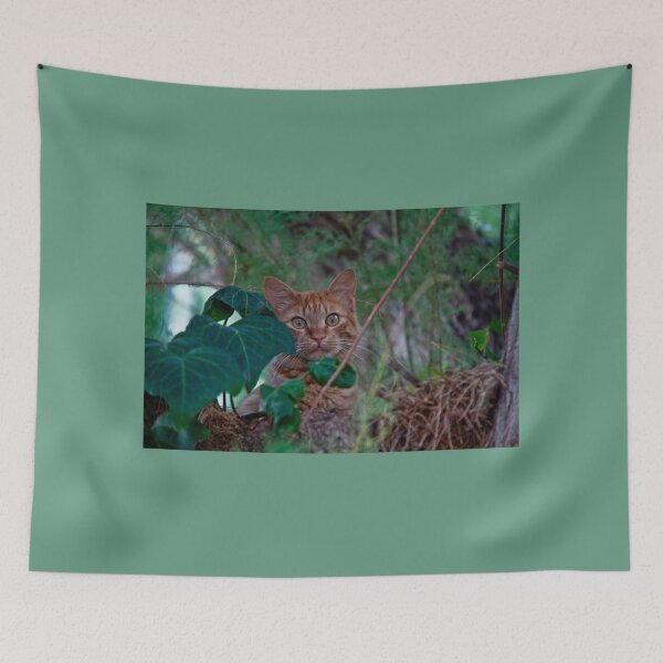 Item preview, Greece. Crete. Agios Nikolaos. Street Cat. designed and sold by vadim19.
