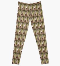 Portrait of a Gentleman Leggings