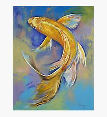 Orenji Butterfly Koi Photographic Print
