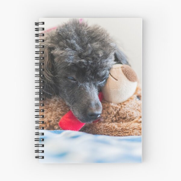 Item preview, Loving Toys designed and sold by KensLensDesigns.