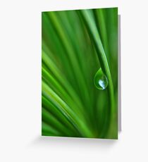 Dewdrop Greeting Card