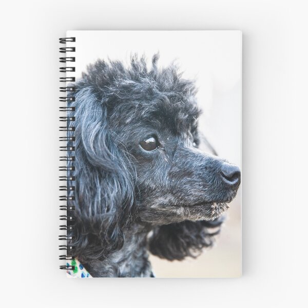 Item preview, The boss poodle designed and sold by KensLensDesigns.