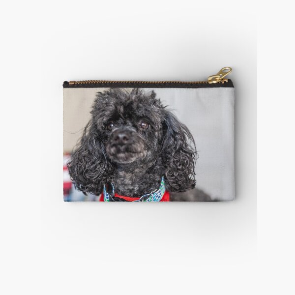 Item preview, Lap Dog designed and sold by KensLensDesigns.