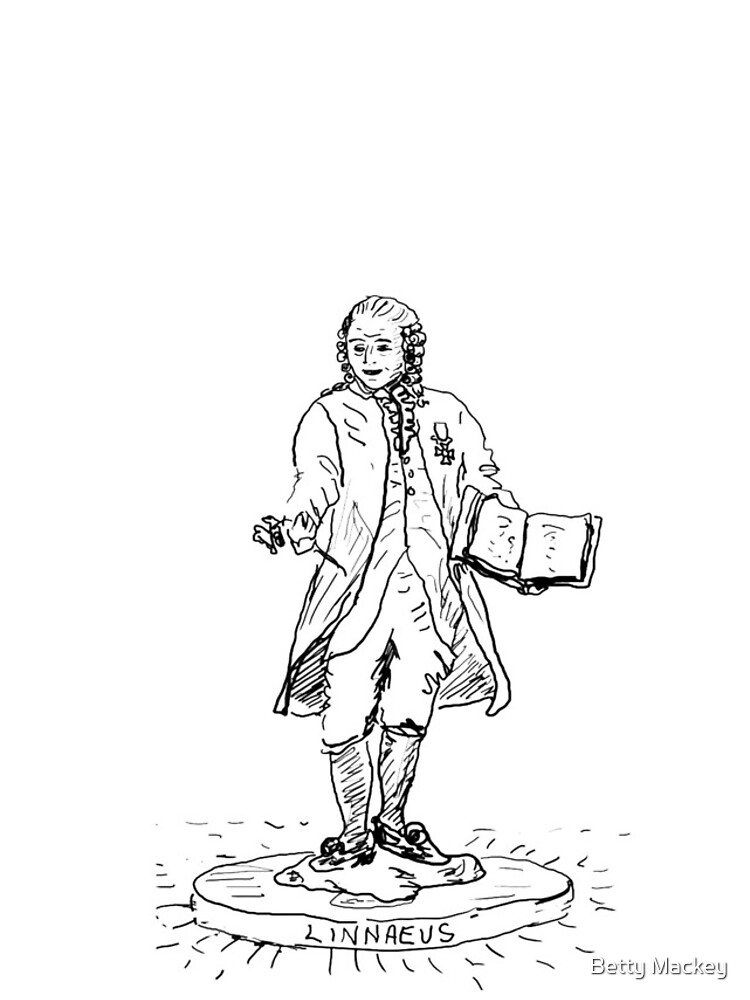 Thumbnail 4 of 4, iPhone Case, Linnaeus designed and sold by BettyMackey.
