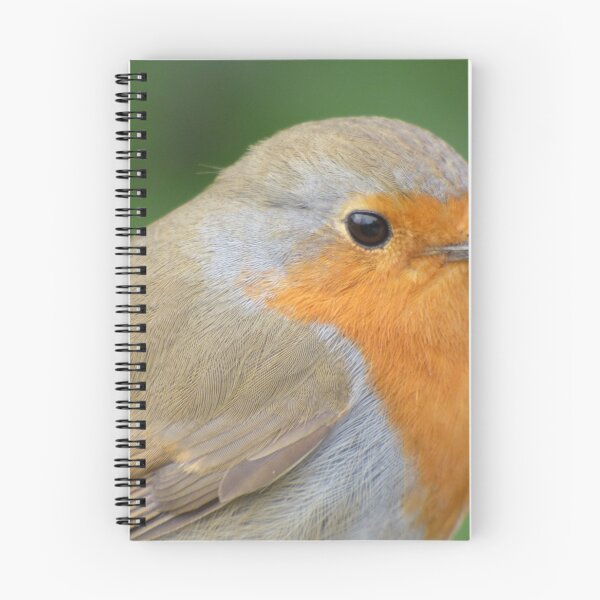 Item preview, Robin designed and sold by Louisamhocking.