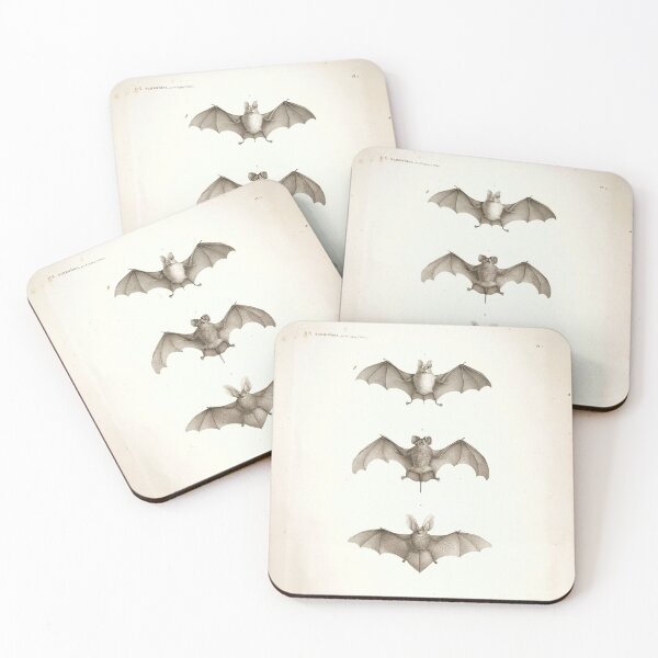 Item preview, Bats of Egypt Vintage Drawings designed and sold by Douglas E. Welch Design and Photography.