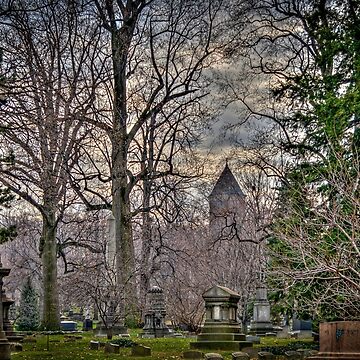 Artwork thumbnail, Winter in the cemetery. by ROBERT NIEDERRITER