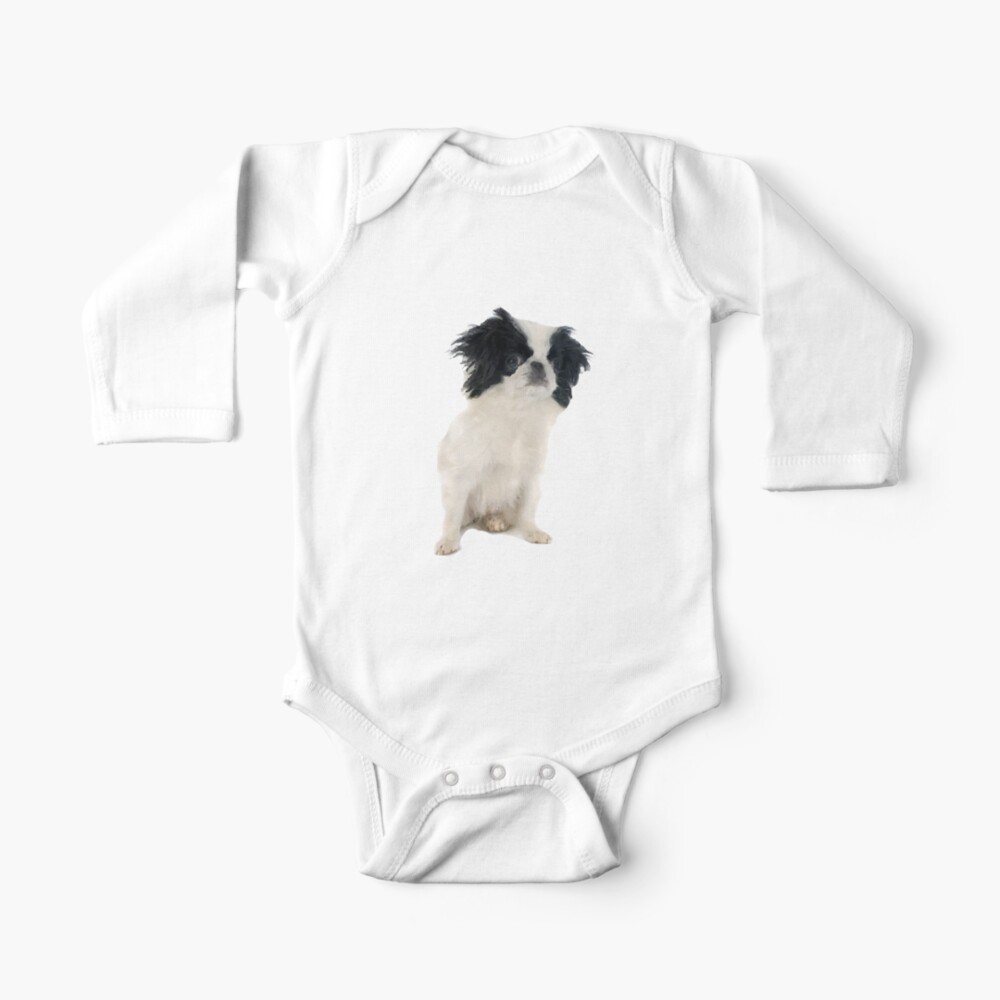 japanese chin baby