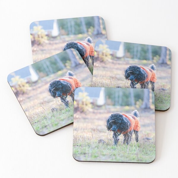 Item preview, This is my yard designed and sold by KensLensDesigns.