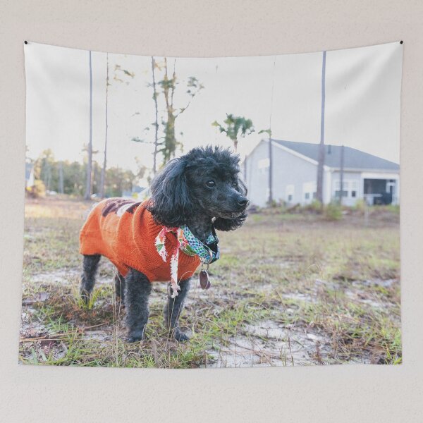 Item preview, This is my home designed and sold by KensLensDesigns.