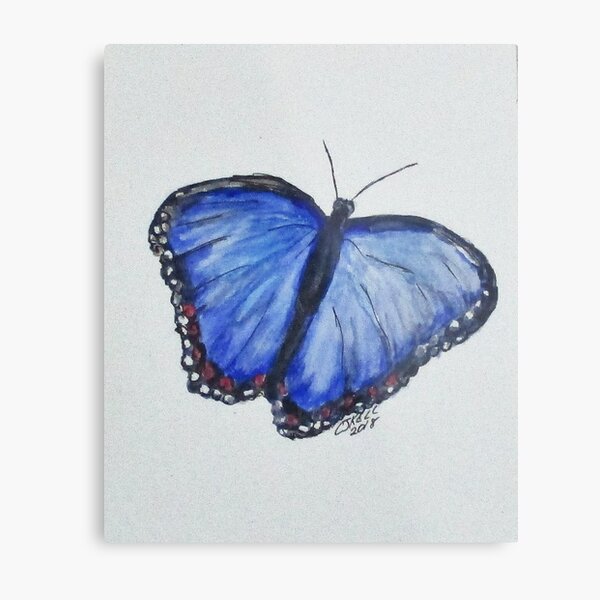 Erika's Blue Butterfly Trans BG Metal Print