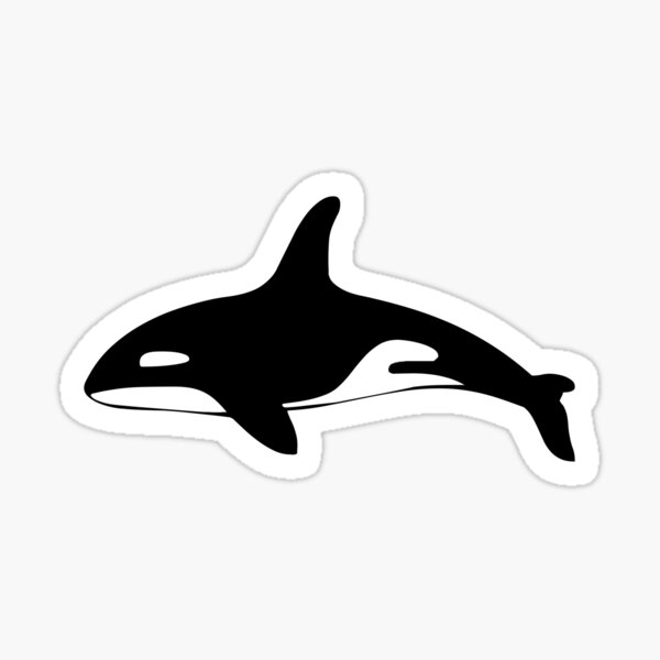 Sticker Free Willy Redbubble