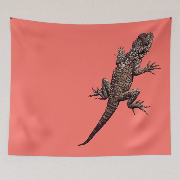 Item preview, Agama Lizard on Living Coral - Pantone Colour for 2019 by Amanda M Lucas designed and sold by Amanda Lucas.