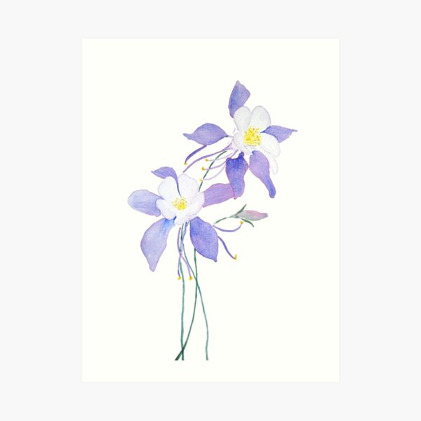 CM674 Wild Columbine | Hero Arts