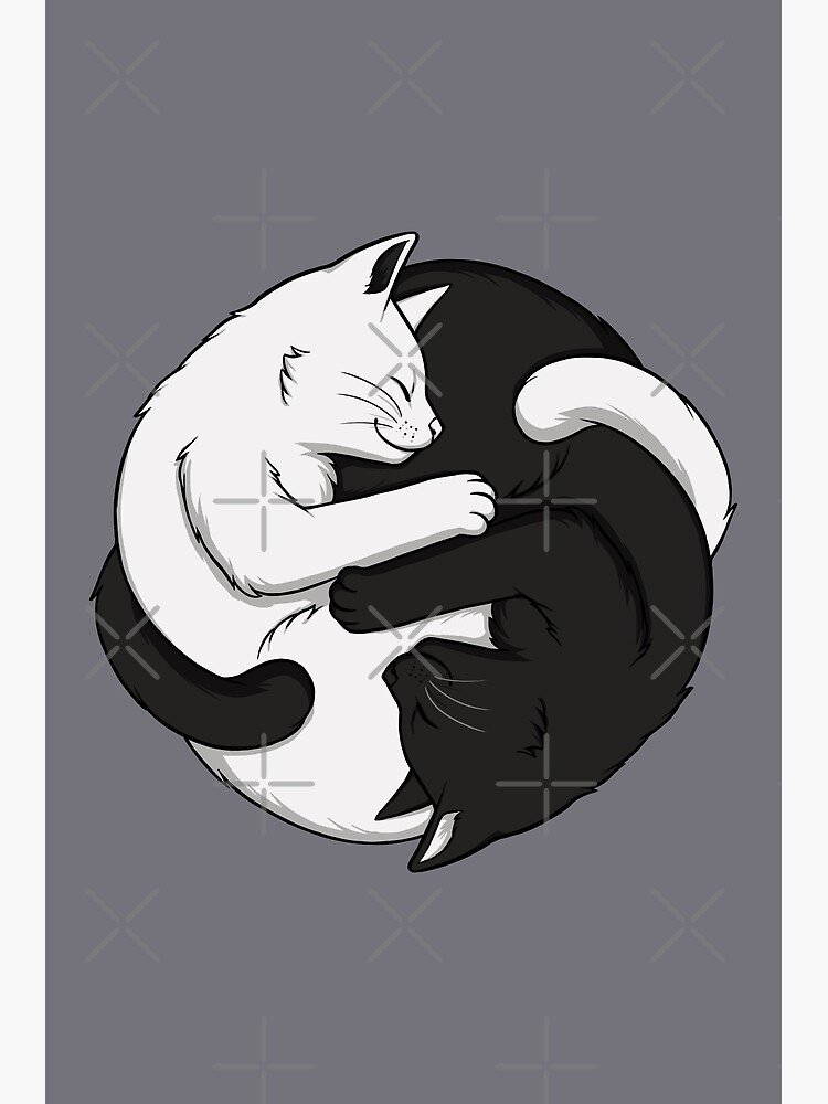 Yin Yang Cats