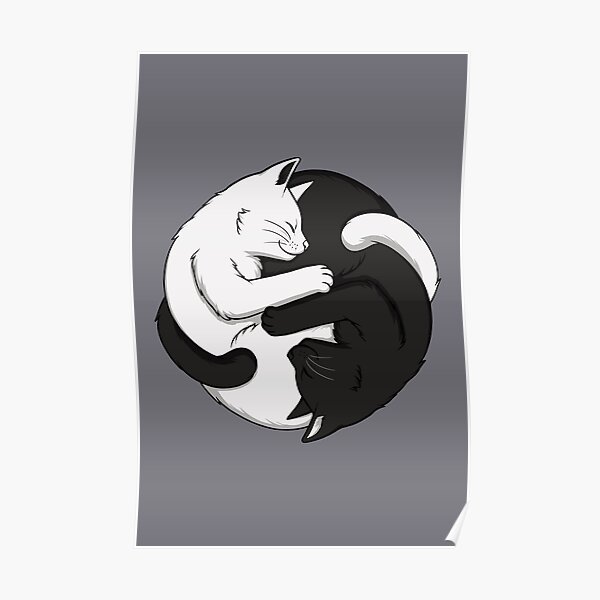 Yin Yang Cats Poster