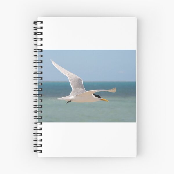 Item preview, Crested Tern in flight designed and sold by Martin Pot.