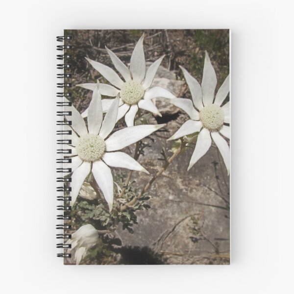Item preview, Flannel Flowers designed and sold by Susan Segal.
