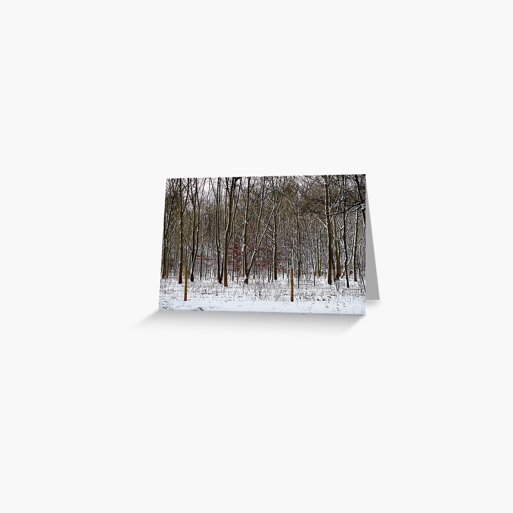 Item preview, Greeting Card designed and sold by blondie1sammo.