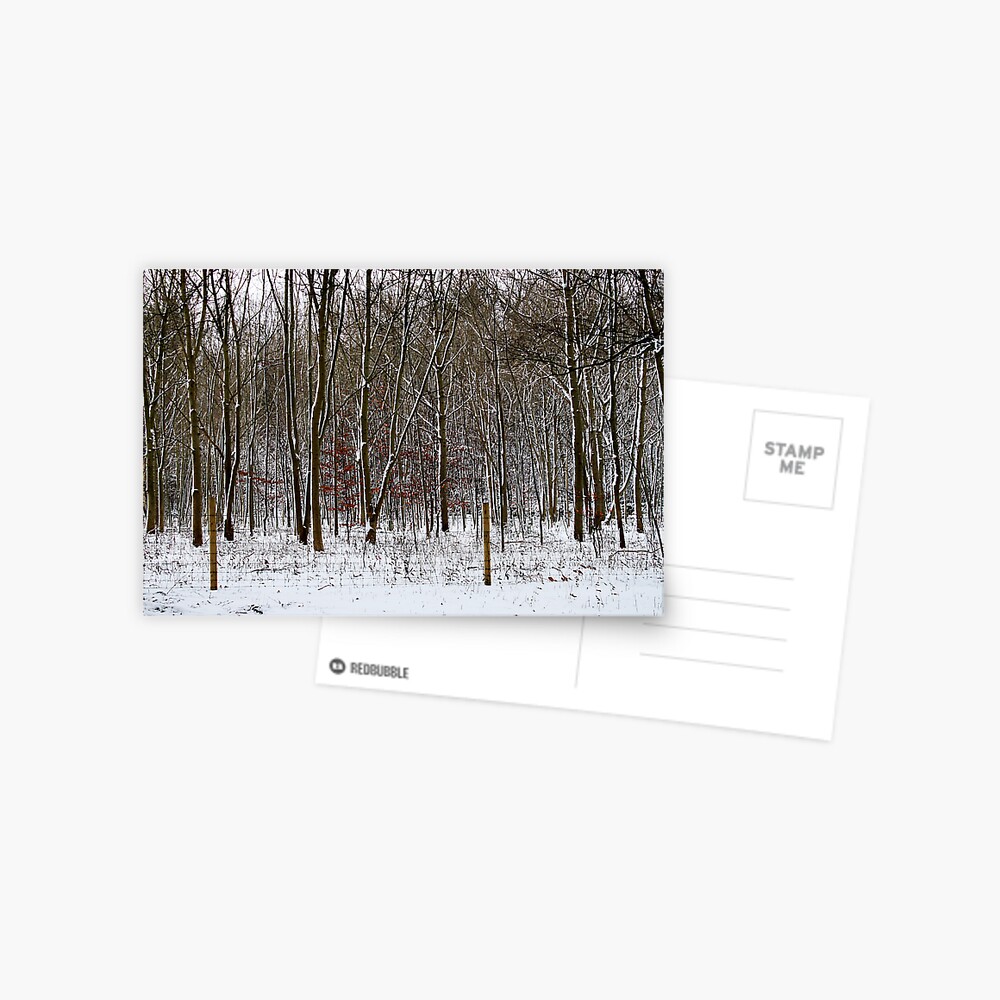 Item preview, Postcard designed and sold by blondie1sammo.