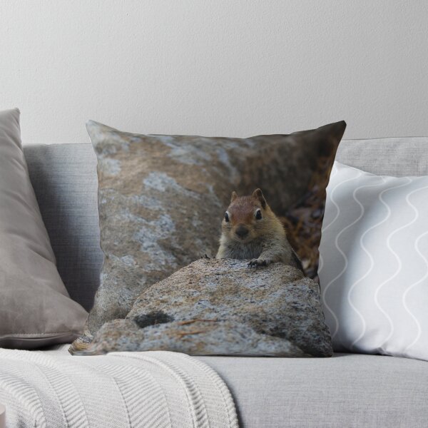 Artikelvorschau, Chipmunk, der Verstecken spielt entworfen und verkauft von Diego Re.