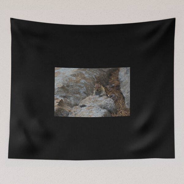 Item preview, Chipmunk Playing Hide And Seek designed and sold by Diego Re.