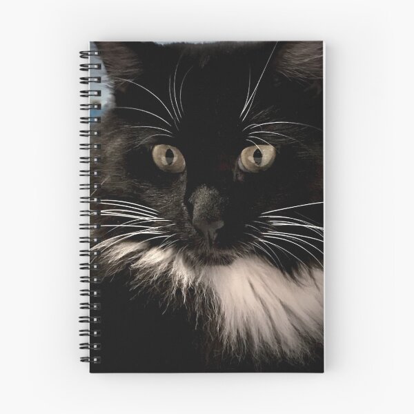 Item preview, ANGUS - the rescued shelter cat designed and sold by Kent Burton.