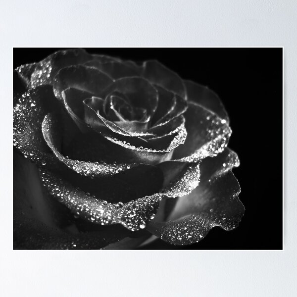 Item preview, Brilliant Rose. designed and sold by Vitta.