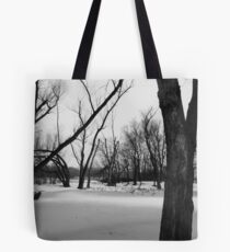 Below Zero Tote Bag
