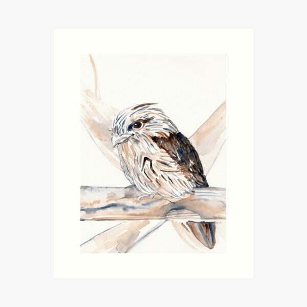 Item preview, Tawny Frogmouth designed and sold by Lisa Dunbar Solas.