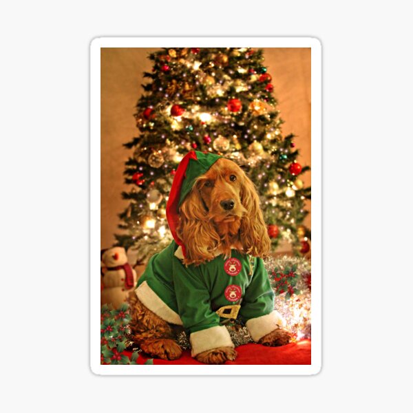 KIM - Christmas card (VI) Sticker