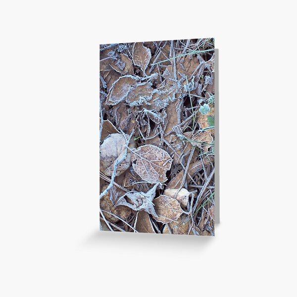 leaves Greeting Card
