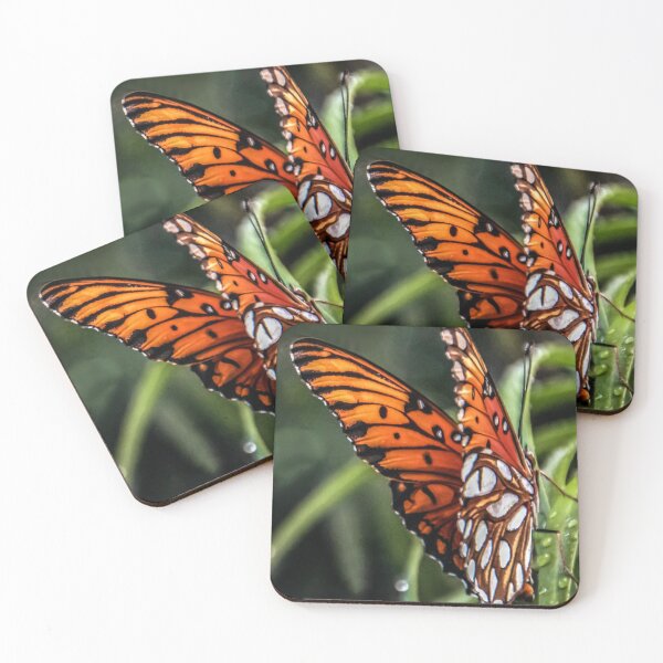 Item preview, Butterfly, Gulf Fritillary  designed and sold by heatherfriedman.