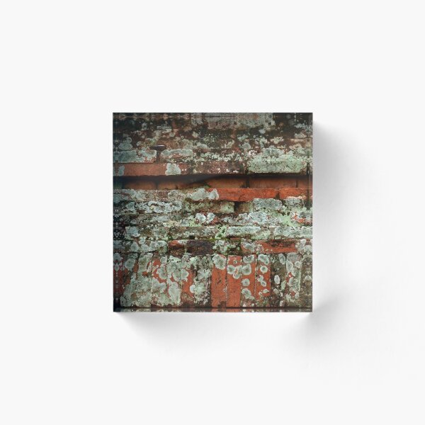 Aperçu de l'œuvre Bagan Briques créée et vendue par RubySting.