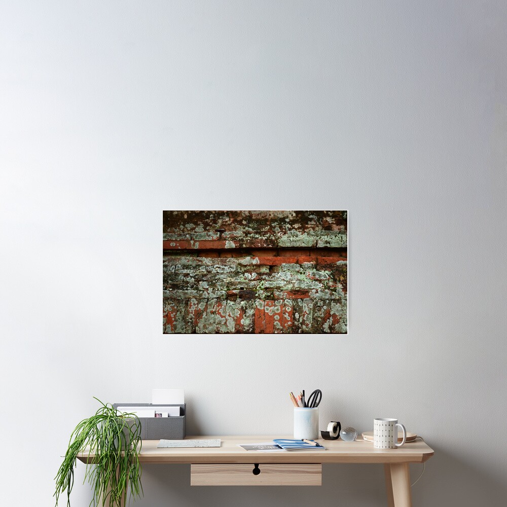 Item preview, Poster designed and sold by RubySting.