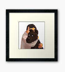 Isle of Dogs Framed Print