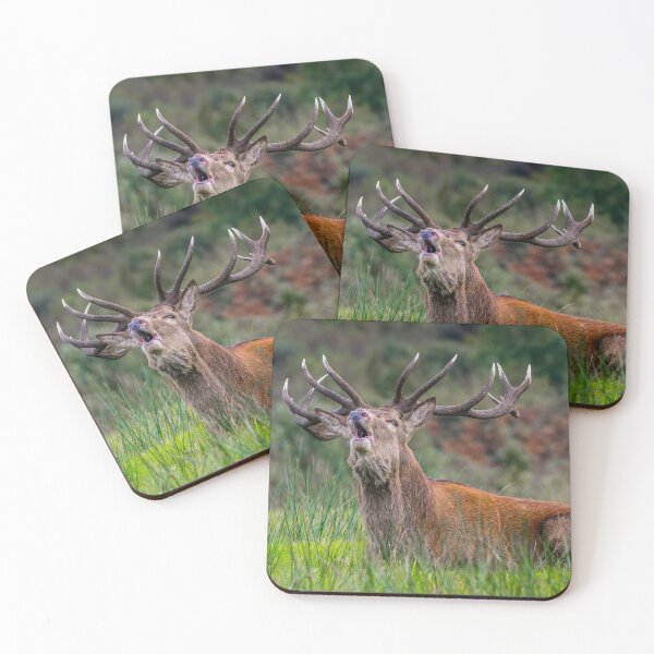Item preview, Bellowing Stag designed and sold by iCimages.net.